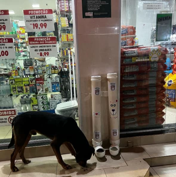 Cachorro comendo em um comedouro público de Morro de São Paulo