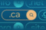 What is a .ca domain?