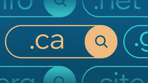 What is a .ca domain? 