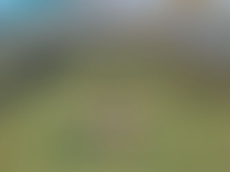 Mulher nas piscinas naturais que se formam na maré baixa