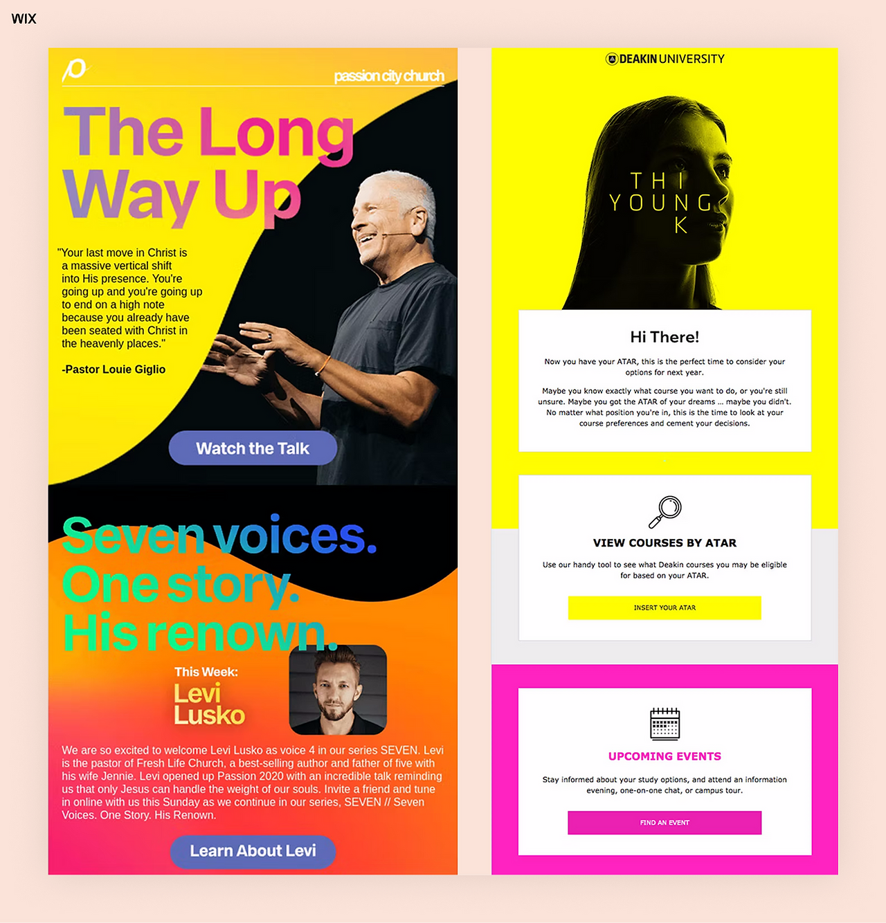 professional newsletter examples
