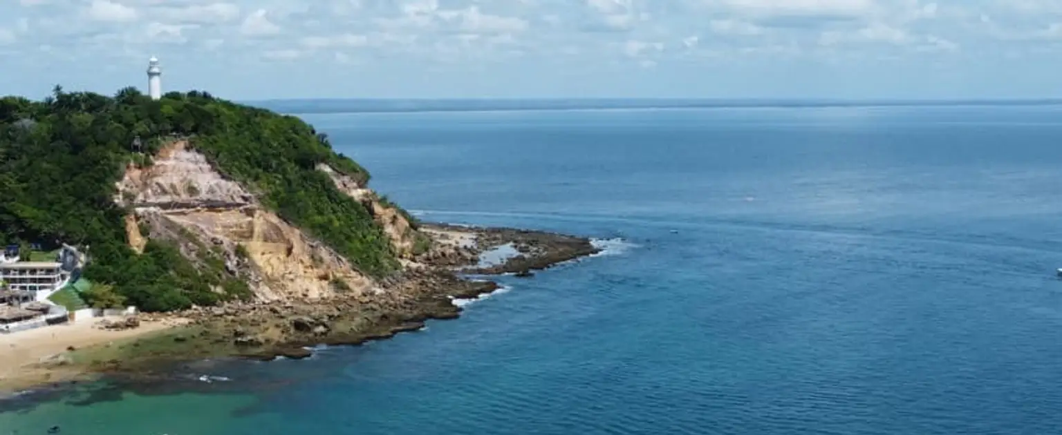 Golfinhos em Morro de São Paulo: onde é possível avistá-los?