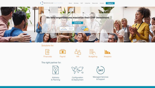 consulting firm domain