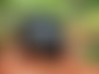 Gamboa Full Experience: uma experiência nova e diferente