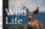 landscape photography portfolio