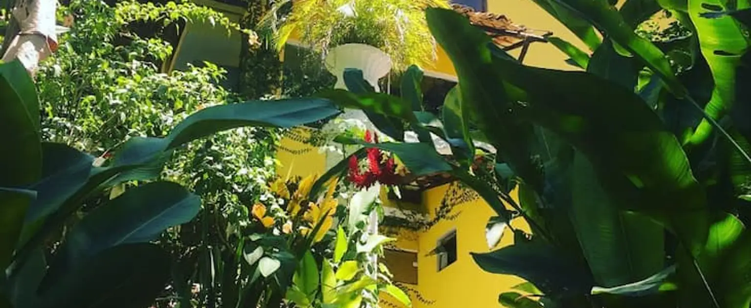 Odoya em Morro de São Paulo: hospedagem com charme na ilha