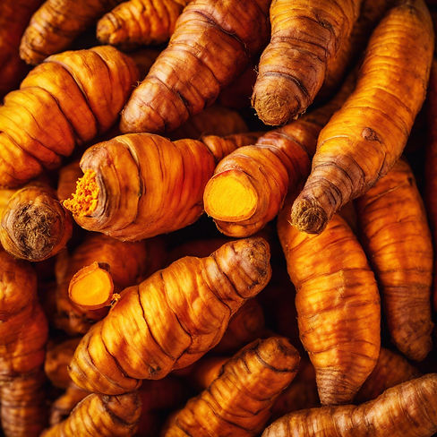 turmeric root.jpg