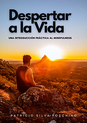 Book 2 Cover (1375 × 1935 px) (3).png