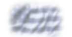 flag.webp
