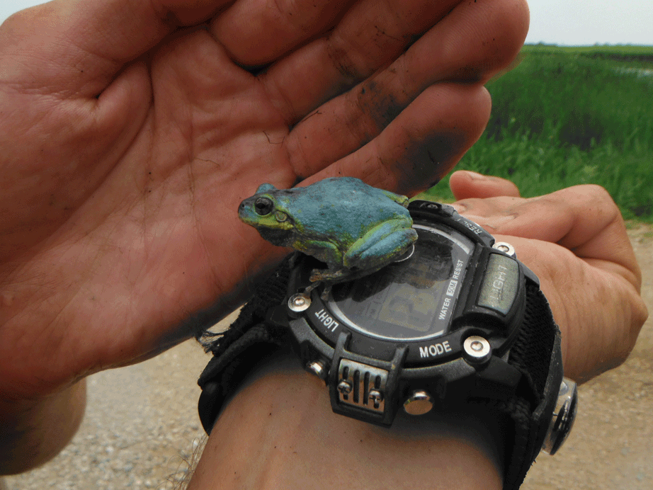DSCF1616.gif