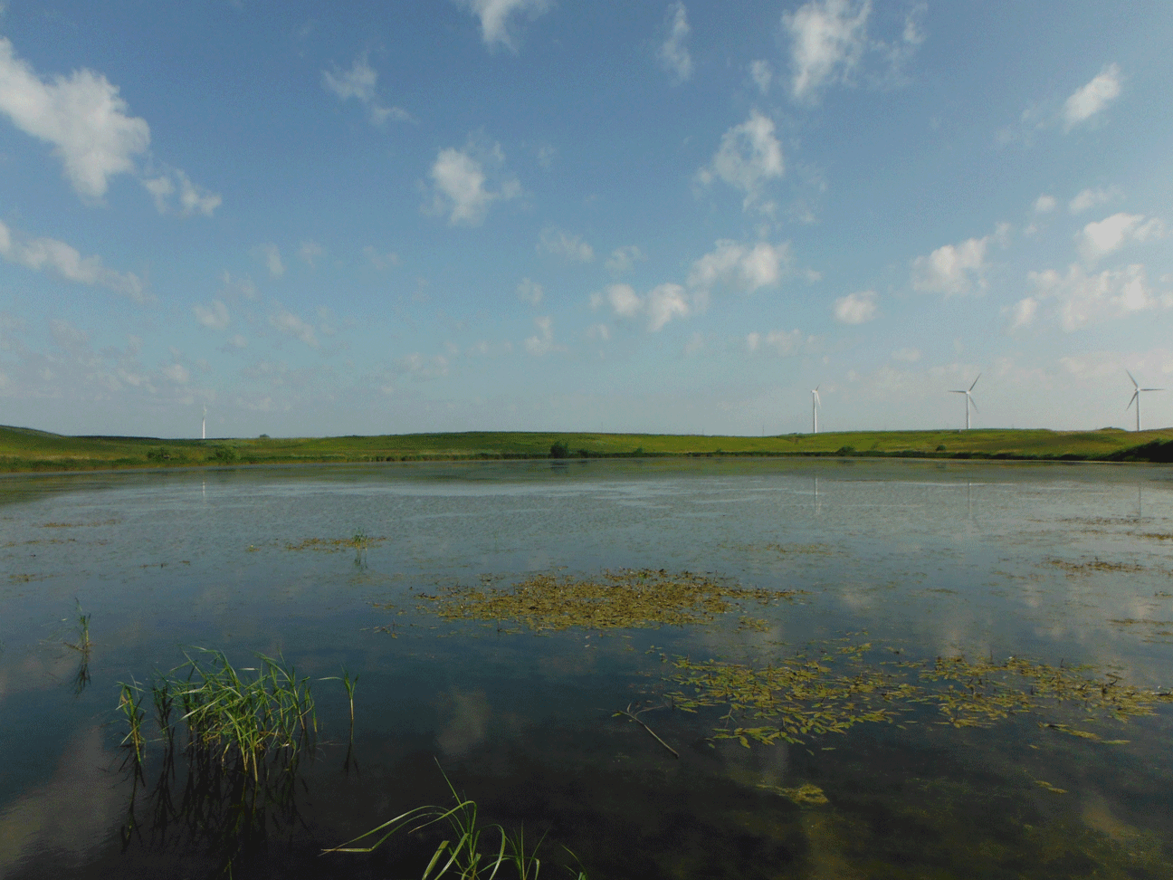 DSCF1646.gif