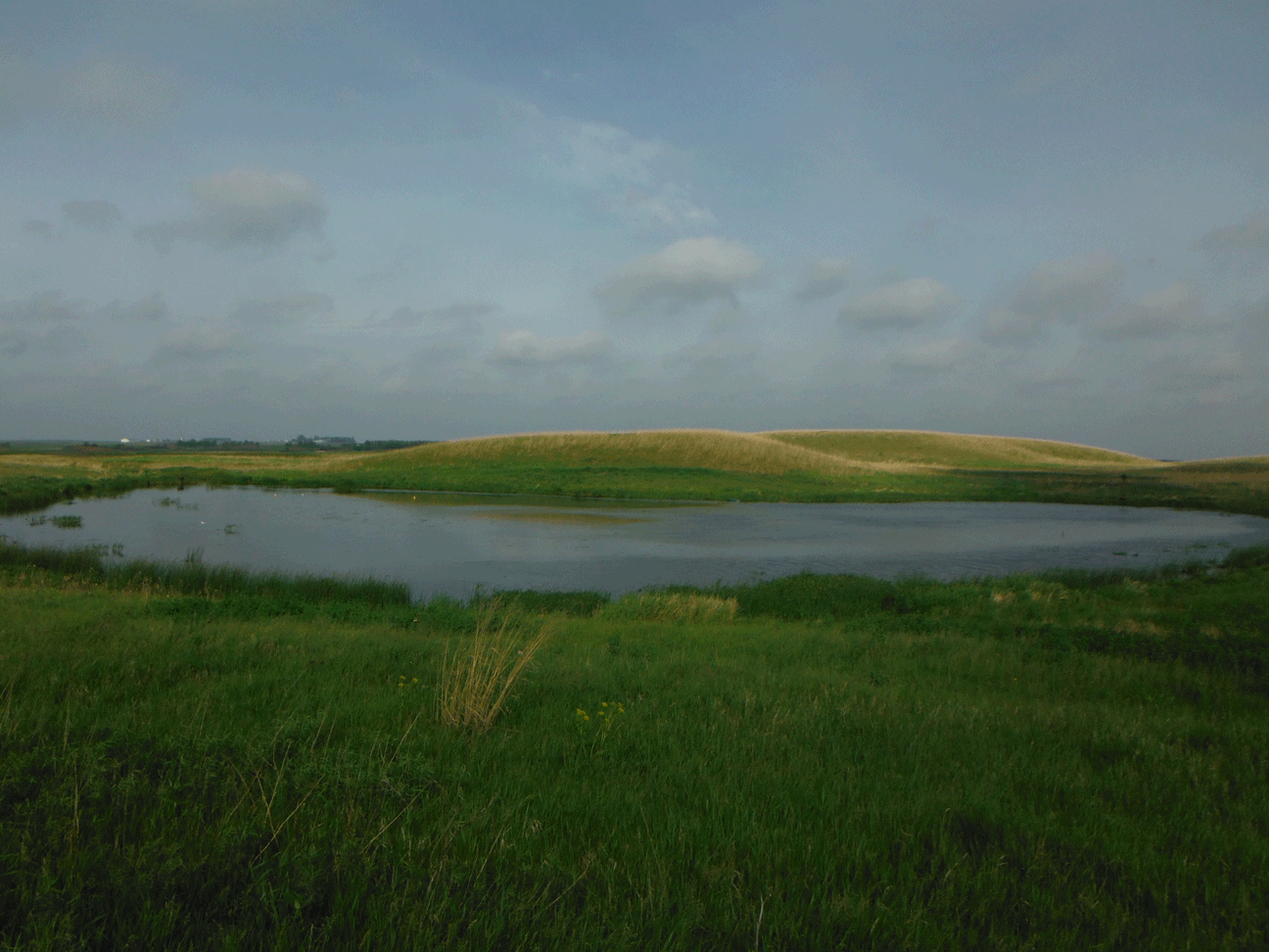 DSCF1576.gif