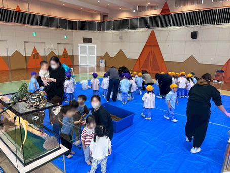 和泉市 ひばり幼稚園 【ふれあい移動水族館】