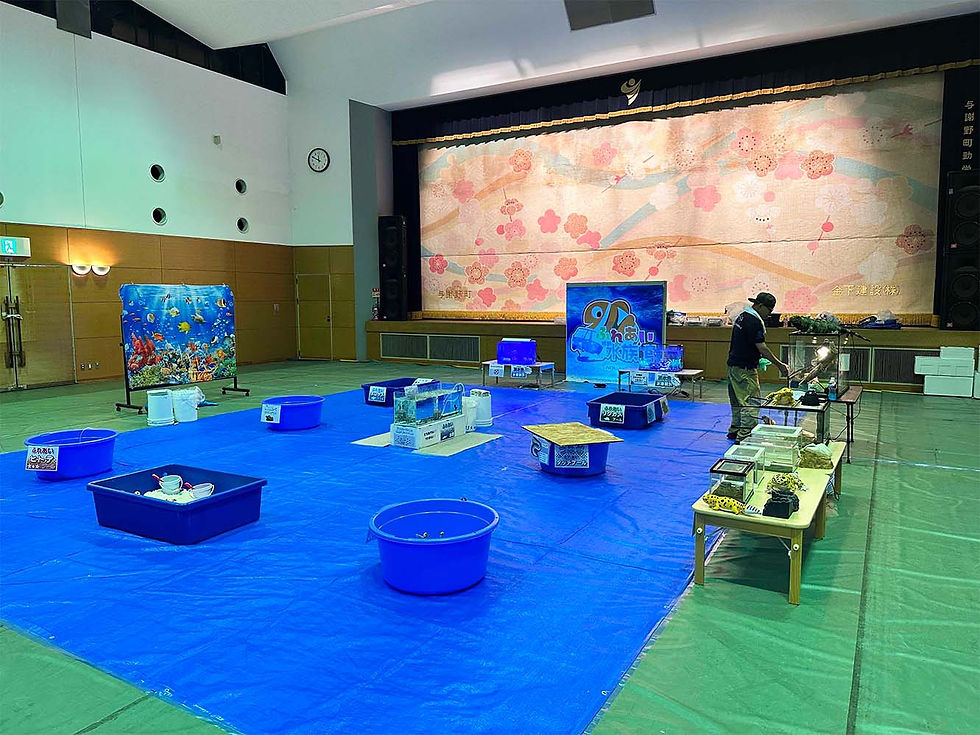 京都 与謝野つばきこども園【ふれあい移動水族館】