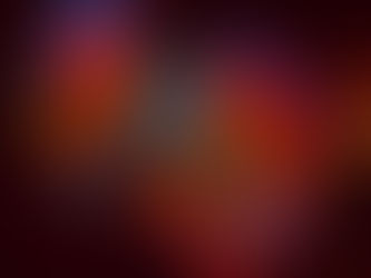 ディスカスについて