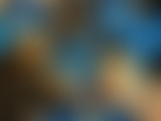 アクタ西宮でふれあい移動水族館