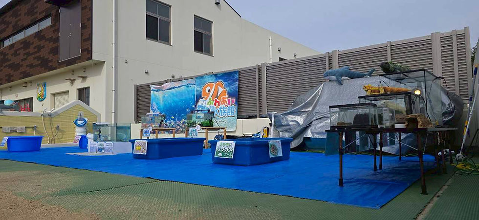 加西市 八条こども園【ふれあい移動水族館】