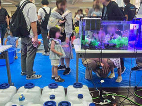 京都 パルスプラザ ほほえみ保育園 【ふれあい移動水族館】