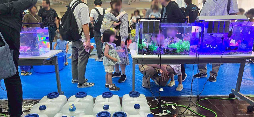 京都 パルスプラザ ほほえみ保育園 【ふれあい移動水族館】