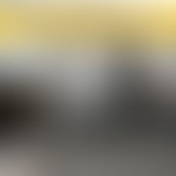 Malla Electrificada en Toluca y Metepec