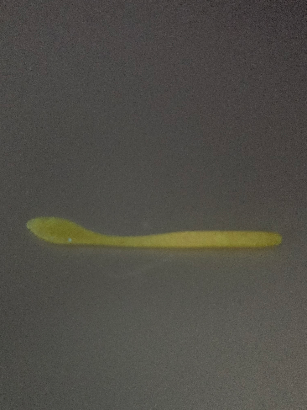 Thumbnail: Banana Split UV GLOW 12 Pack 2.5 Inches