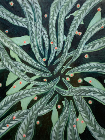 togetherness, hope, Minnesota art, local art, contemporary art, plant, fireflies