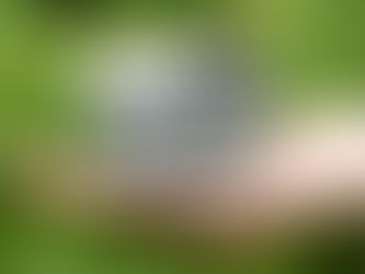 Plots Purchasable in Dehradun Are One Of The Best Options For Investment