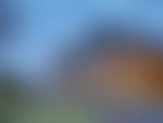 Are Plots Good Investment?