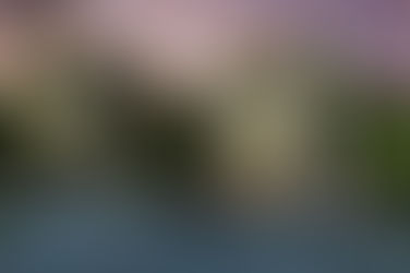 Purchase The Stylish Plots In Dehradun