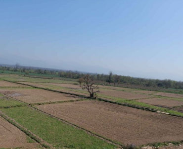 Plots For Sale in Dehradun, Uttarakhand: Find Your Dream Home