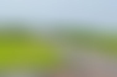 Let’s Make your Investment in Plot of Land Dream Become Reality