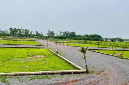 Let’s Make your Investment in Plot of Land Dream Become Reality