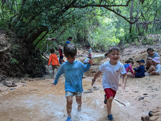 The Creek