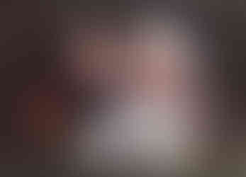 Fireman and Dalmation