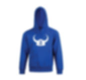 VFC Fleece Hoodies