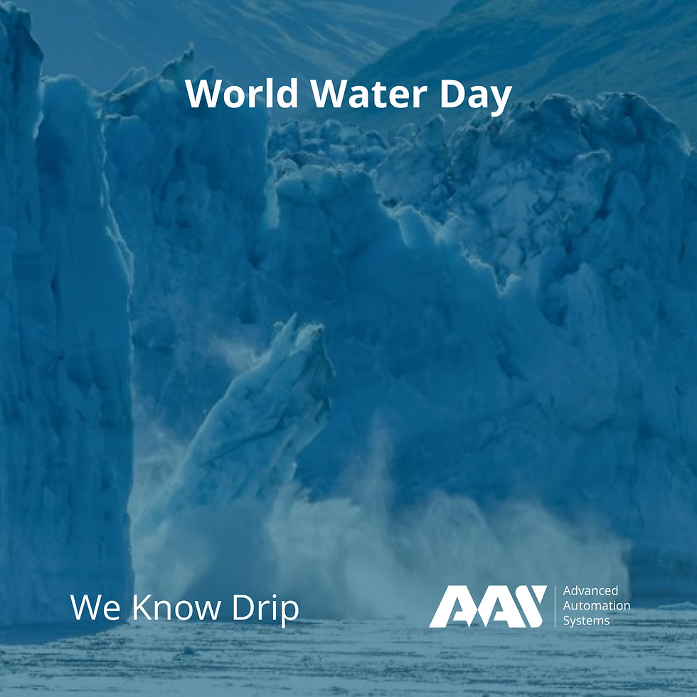 World Water Day 2025