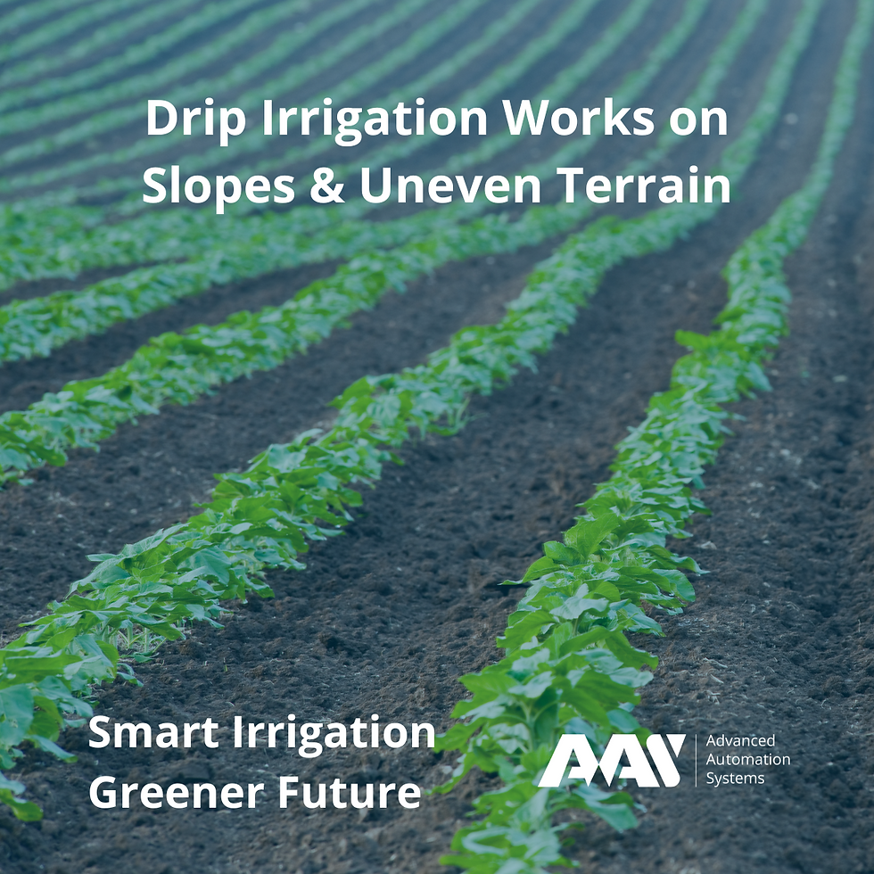Drip Irrigation Works on Slopes & Uneven Terrain