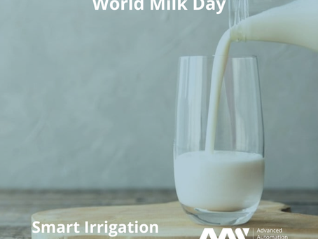 World Milk Day