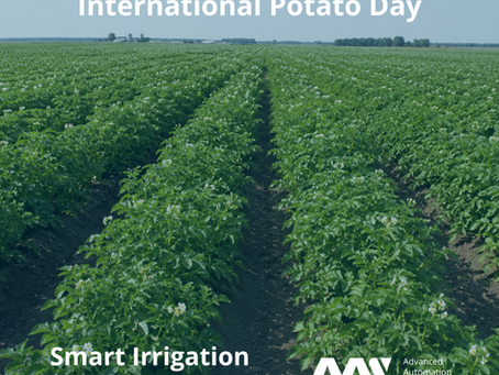 International Potato Day