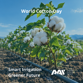 World Cotton Day