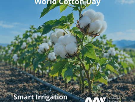 World Cotton Day