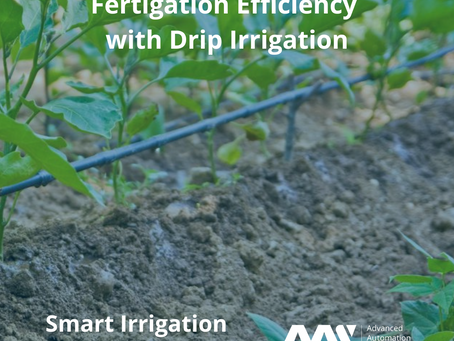 Fertigation Efficiency with Drip Irrigation
