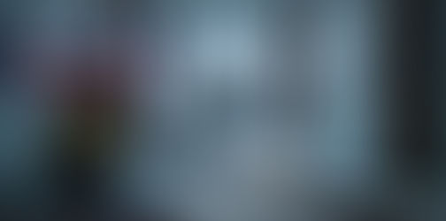 Tragedy Foretold: The Murder of Nina Kravtsov and the Scandal of Seagate Rehabilitation’s Neglect