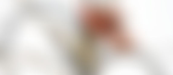 VIOLÊNCIA E PAIXÃO                    