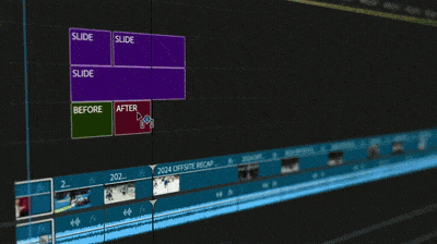 TRAN 2.gif