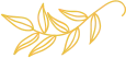 elements
