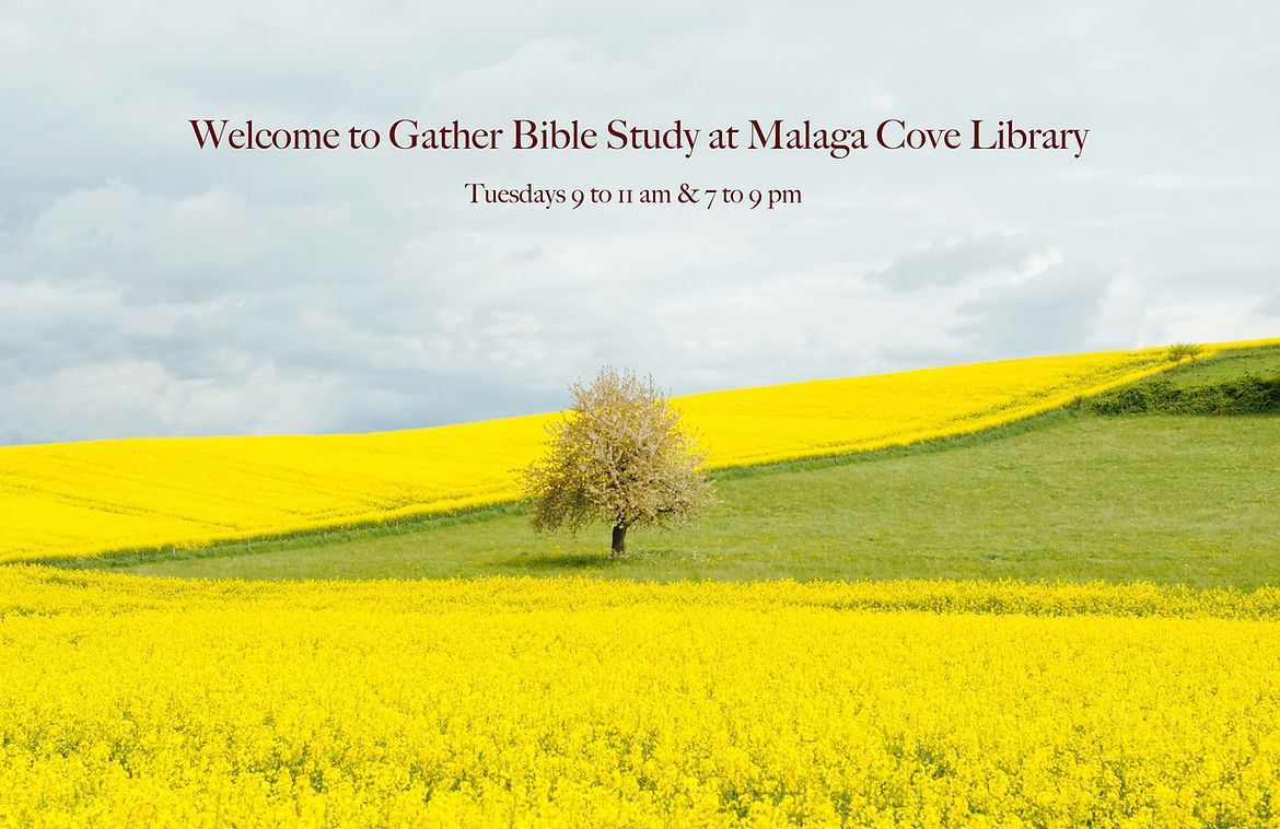 Gather Website - 1 of 1 (1).jpeg