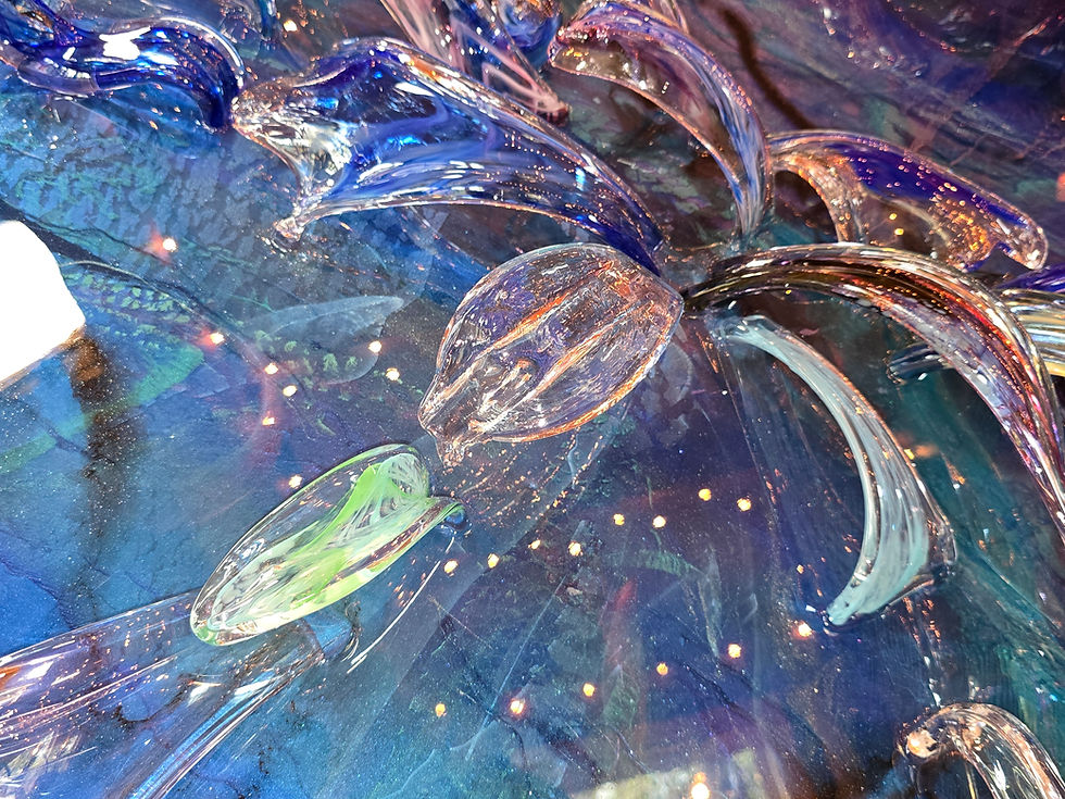 Thumbnail: Pelagic Constallation