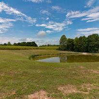 pine ridge stocked pond.jpg