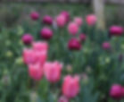 Wedding Flowers Tisbury